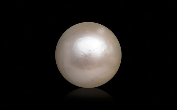 South Sea Pearl - 10.11 Carats
