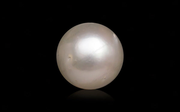 South Sea Pearl - 10.11 Carats