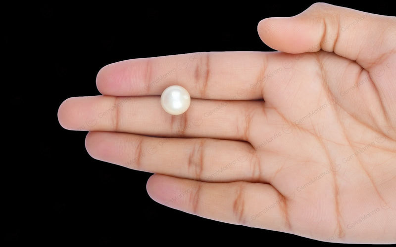 South Sea Pearl - 10.11 Carats