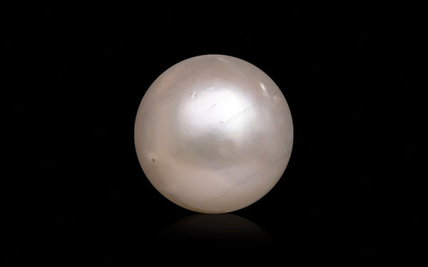 South Sea Pearl - 10.04 Carats