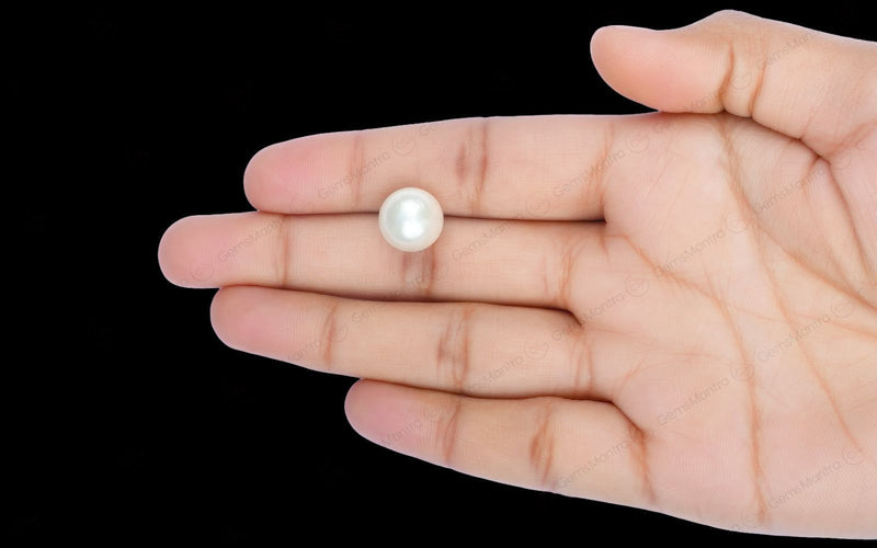 South Sea Pearl - 10.07 Carats
