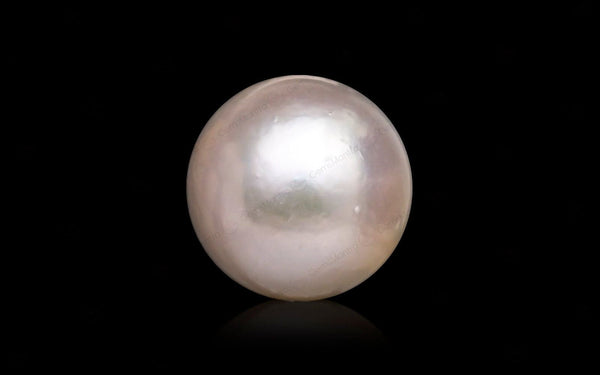 South Sea Pearl - 10.44 Carats