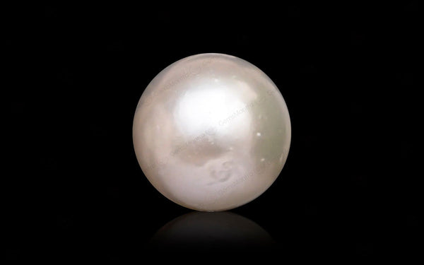 South Sea Pearl - 10.83 Carats