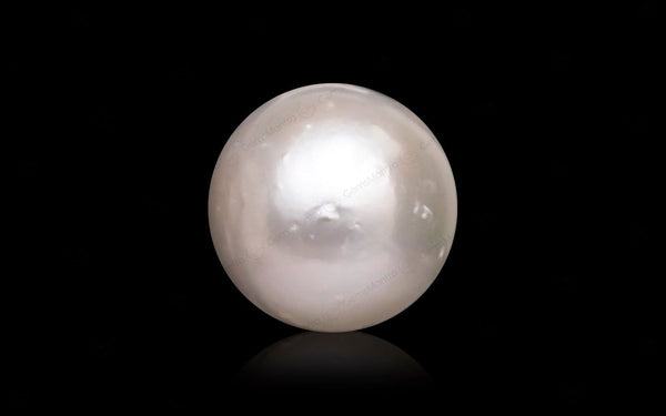South Sea Pearl - 10.83 Carats