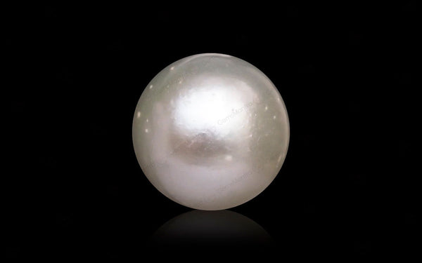 South Sea Pearl - 10.81 Carats