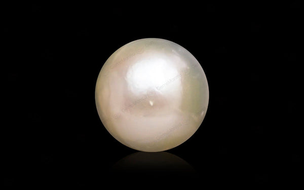 South Sea Pearl - 10.58 Carats