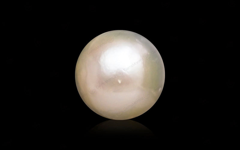 South Sea Pearl - 10.58 Carats