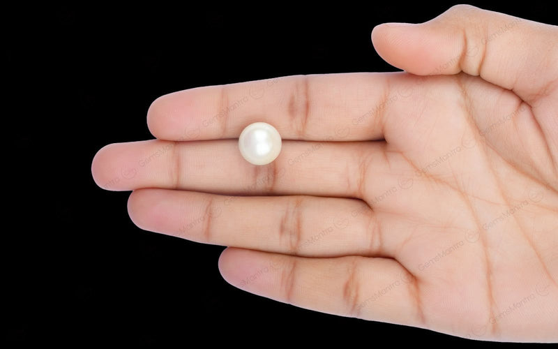 South Sea Pearl - 10.58 Carats