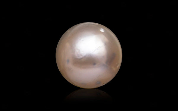 South Sea Pearl - 10.38 Carats