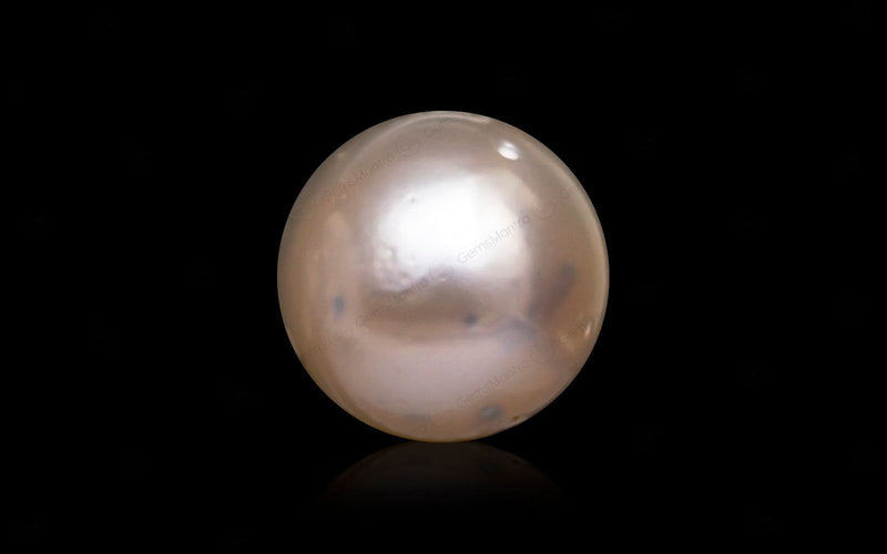 South Sea Pearl - 10.38 Carats