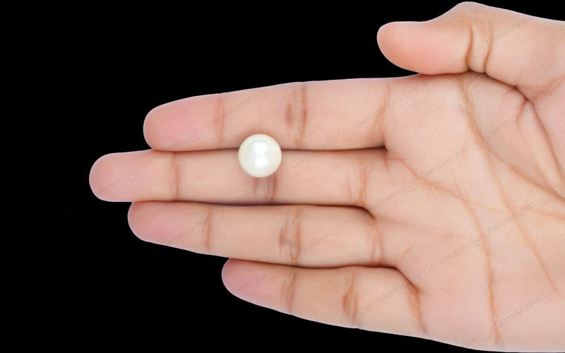 South Sea Pearl - 10.26 Carats