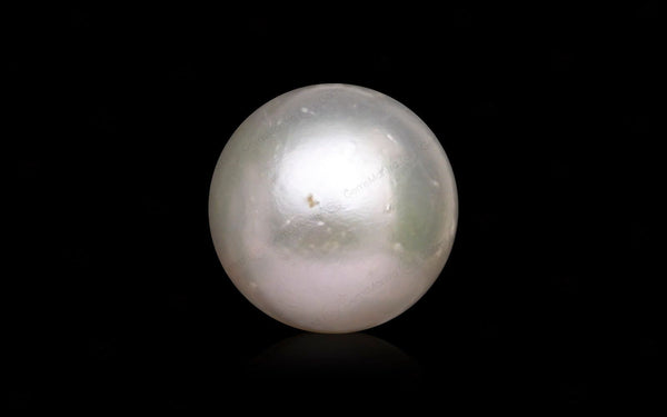 South Sea Pearl - 10.19 Carats