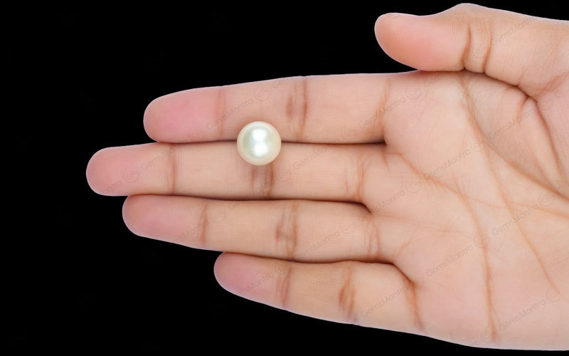 South Sea Pearl - 11.11 Carats