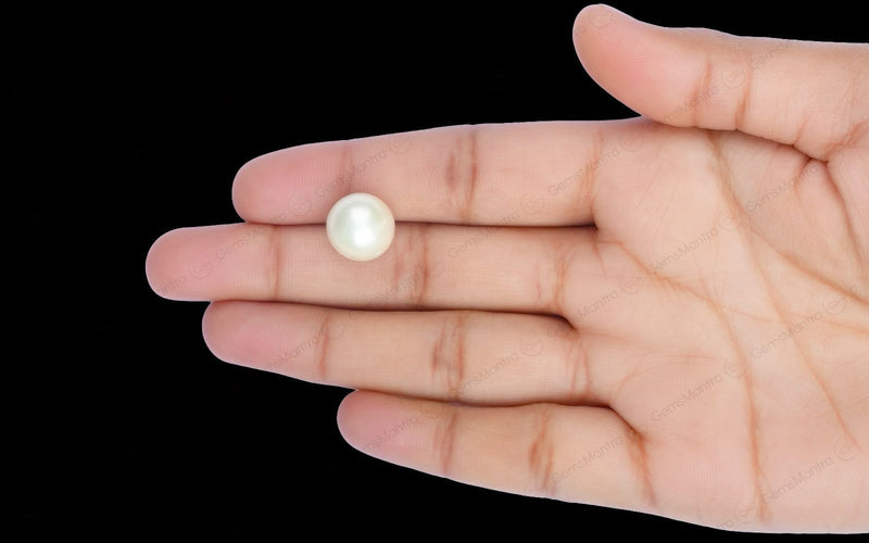 South Sea Pearl - 11.77 Carats