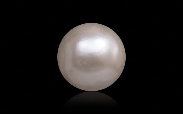 South Sea Pearl - 11.21 Carats