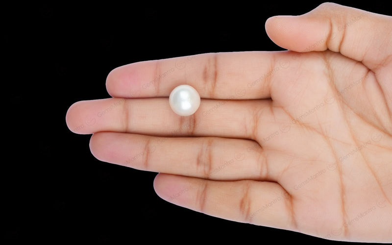 South Sea Pearl - 11.74 Carats
