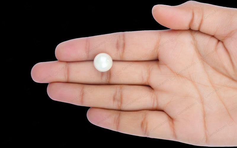 South Sea Pearl - 11.09 Carats