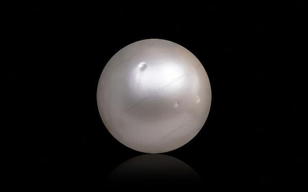 South Sea Pearl - 11.51 Carats