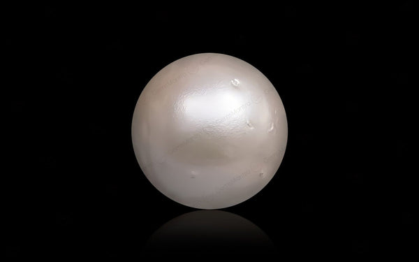 South Sea Pearl - 11.14 Carats