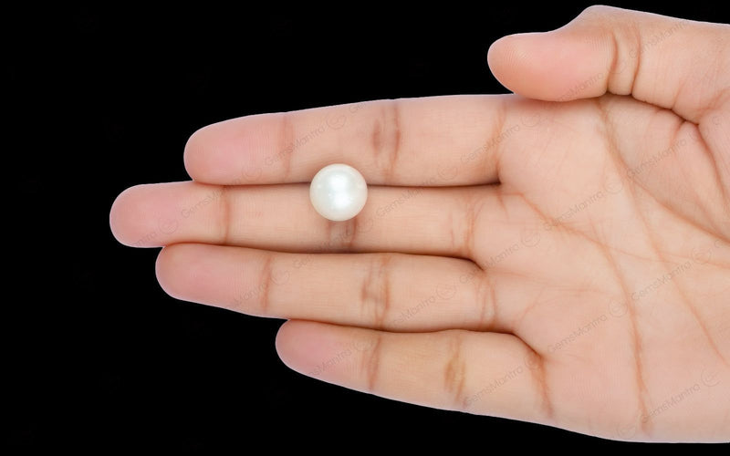 South Sea Pearl - 11.14 Carats