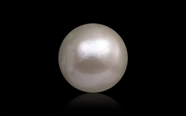 South Sea Pearl - 12.08 Carats