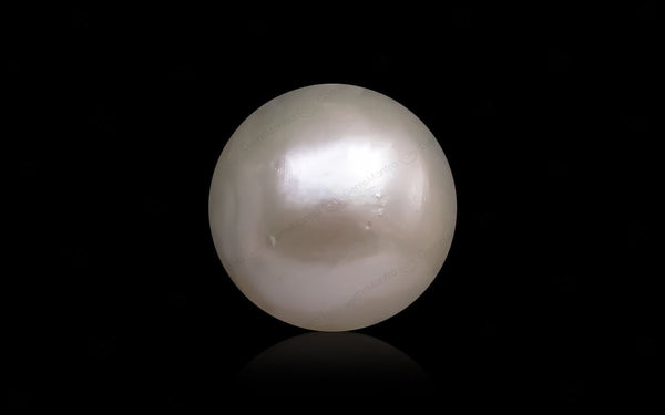 South Sea Pearl - 12.08 Carats
