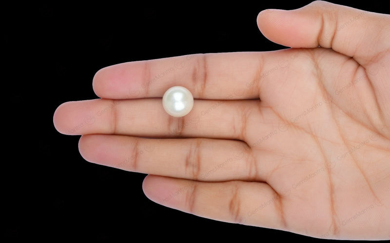 South Sea Pearl - 12.08 Carats