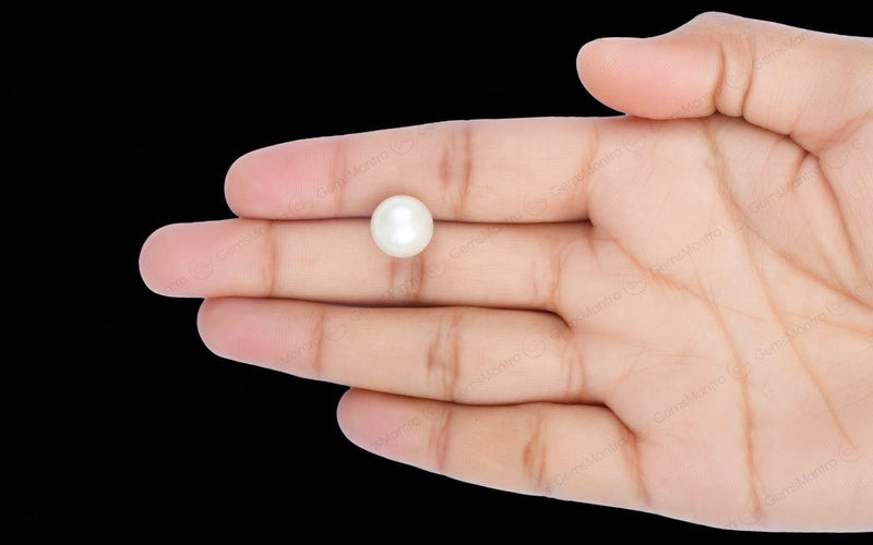 South Sea Pearl - 9.16 Carats