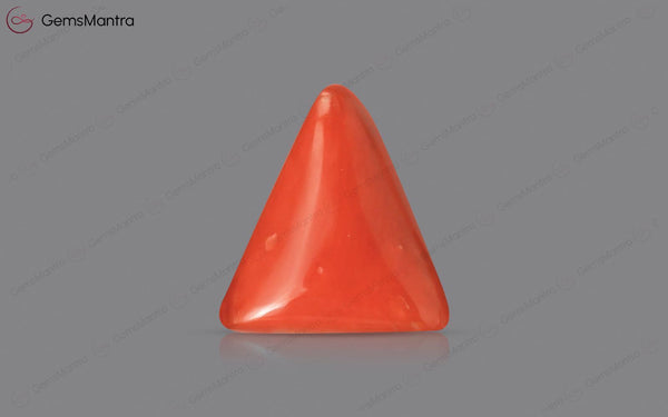 Red Coral - 2.88 Carats