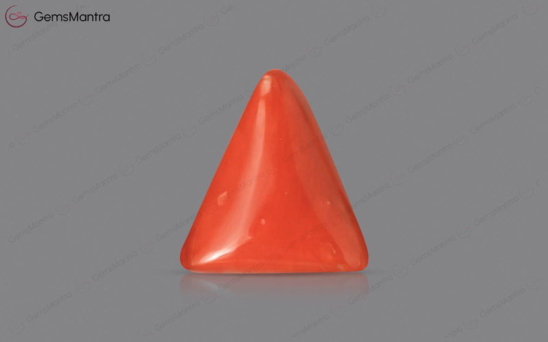 Red Coral - 2.88 Carats