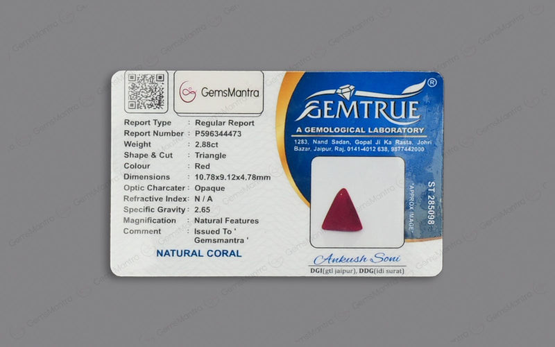 Red Coral - 2.88 Carats