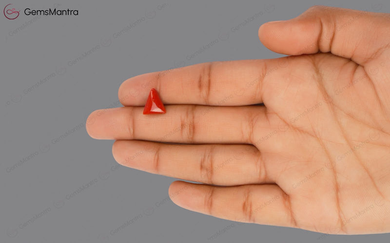 Red Coral - 2.88 Carats