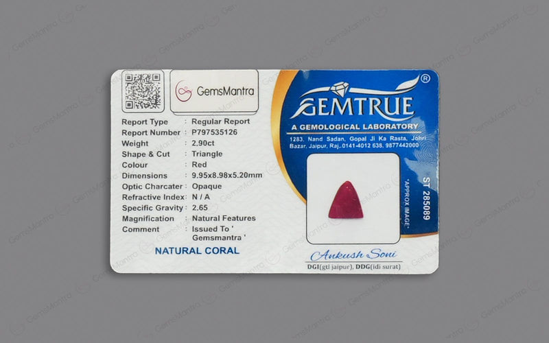 Red Coral - 2.9 Carats