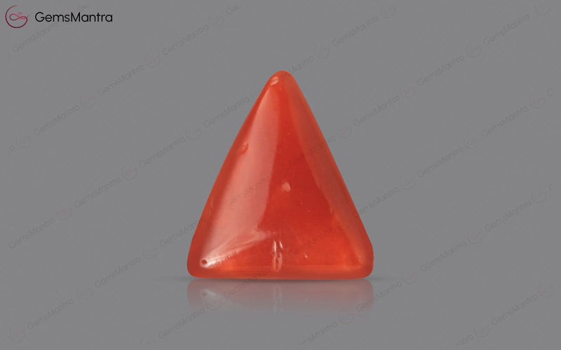 Red Coral - 2.89 Carats