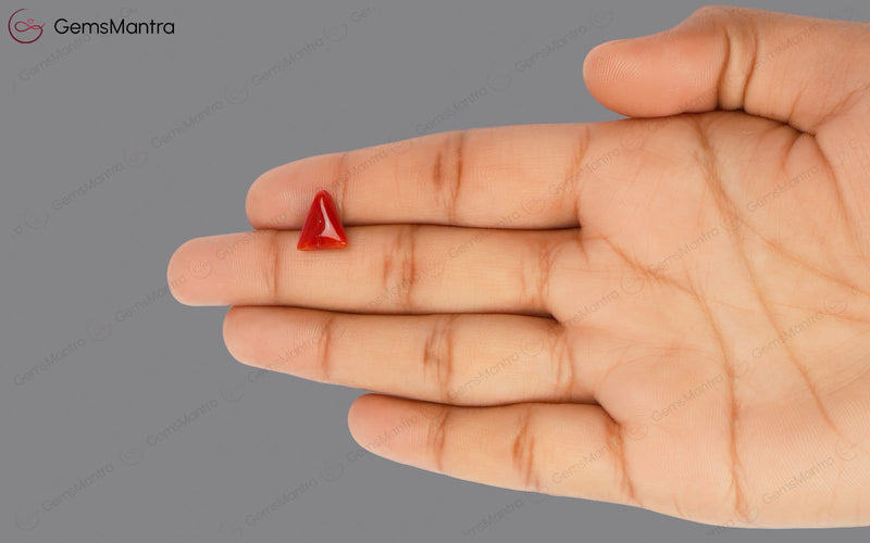 Red Coral - 2.89 Carats