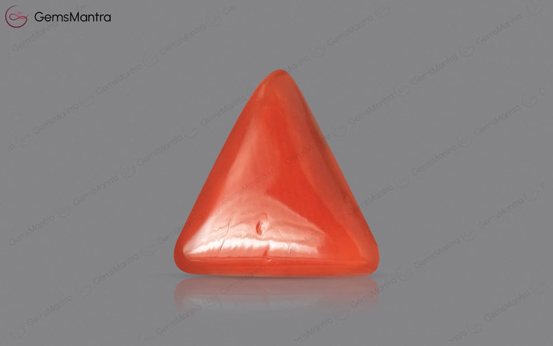 Red Coral - 2.7 Carats