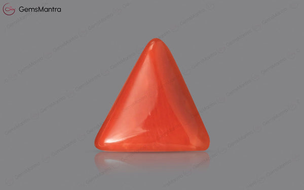 Red Coral - 2.7 Carats