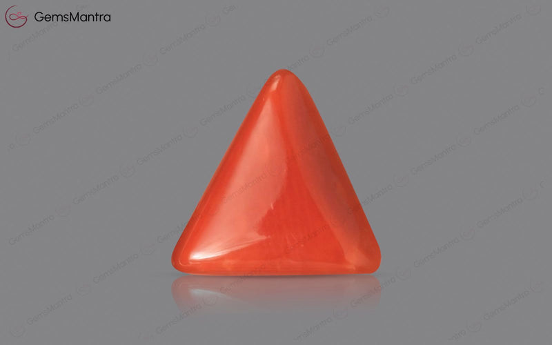 Red Coral - 2.7 Carats