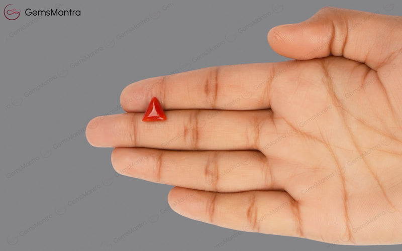 Red Coral - 2.7 Carats