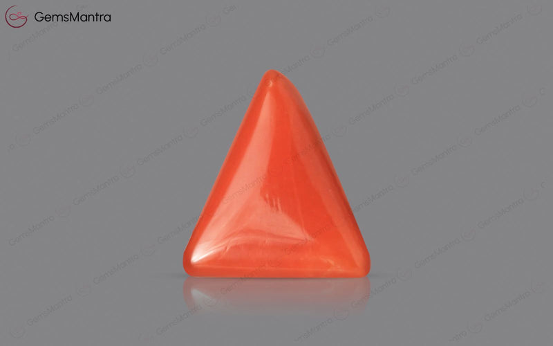 Red Coral - 2.9 Carats