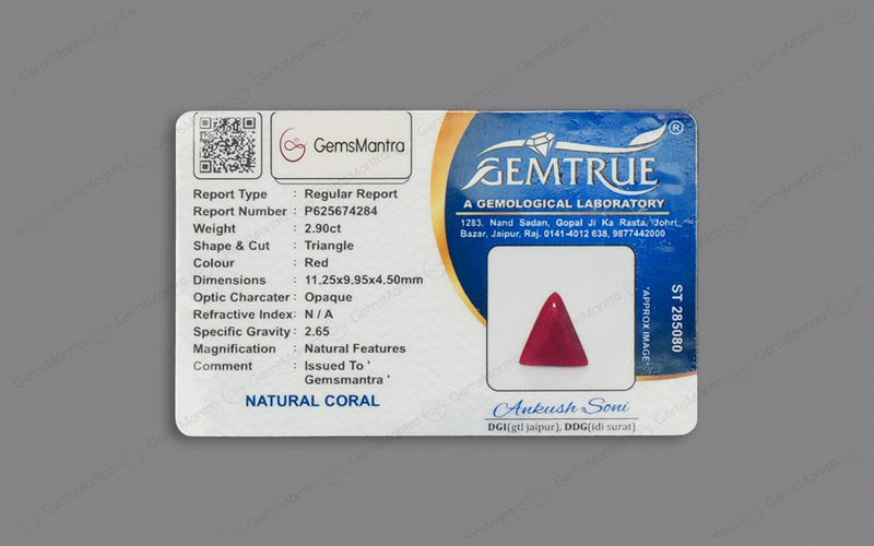 Red Coral - 2.9 Carats