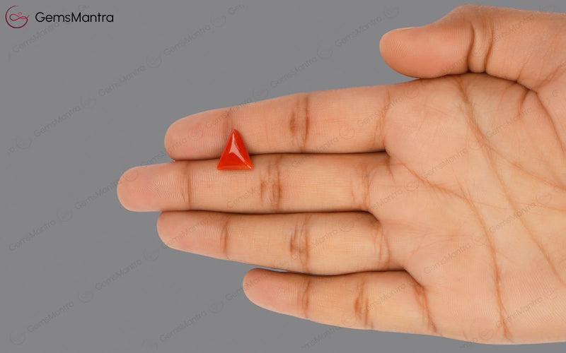 Red Coral - 2.9 Carats