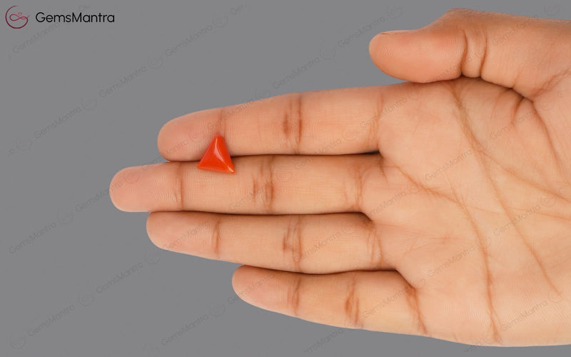 Red Coral - 2.86 Carats