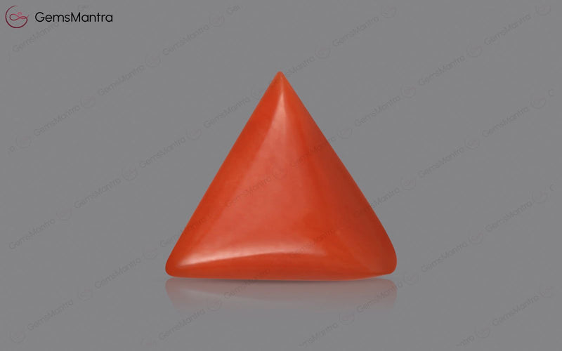 Red Coral - 2.89 Carats