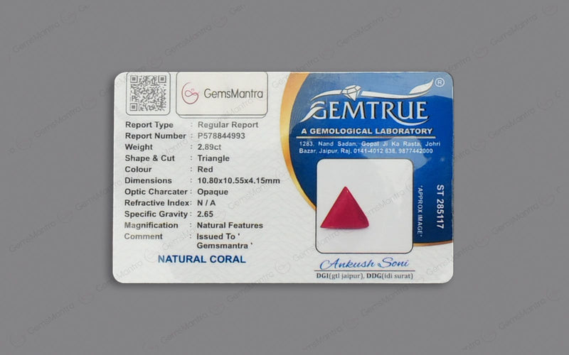 Red Coral - 2.89 Carats