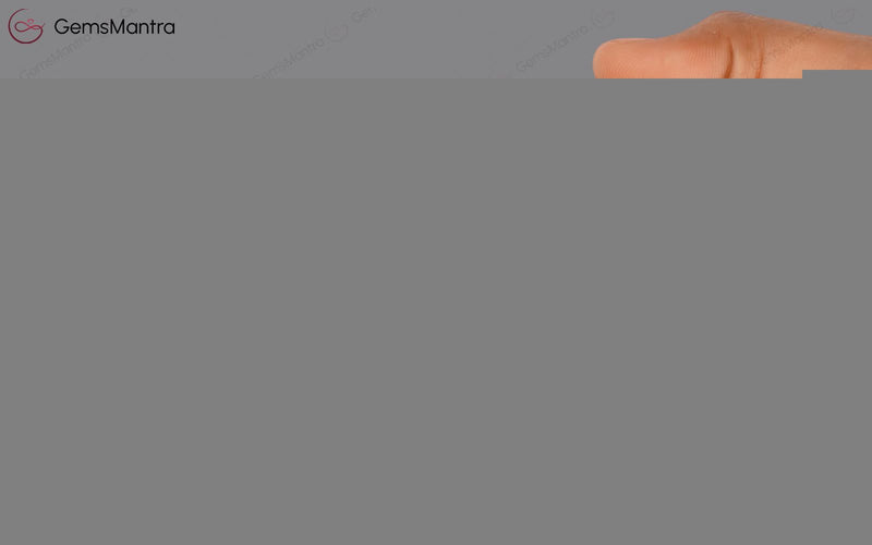 Red Coral - 2.89 Carats