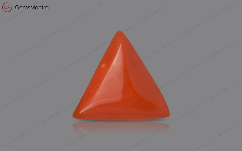 Red Coral - 2.86 Carats