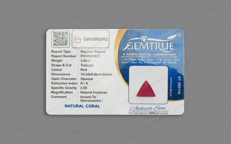 Red Coral - 2.86 Carats