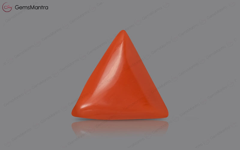 Red Coral - 2.86 Carats