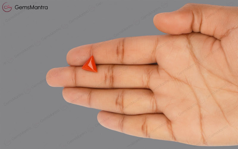 Red Coral - 2.86 Carats